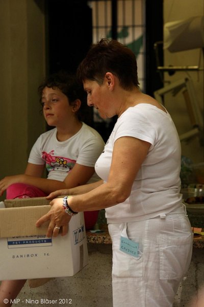 2012-07-01 B & B - Bedlington & Bichon Fun Day (283)_1000x1500.jpg
